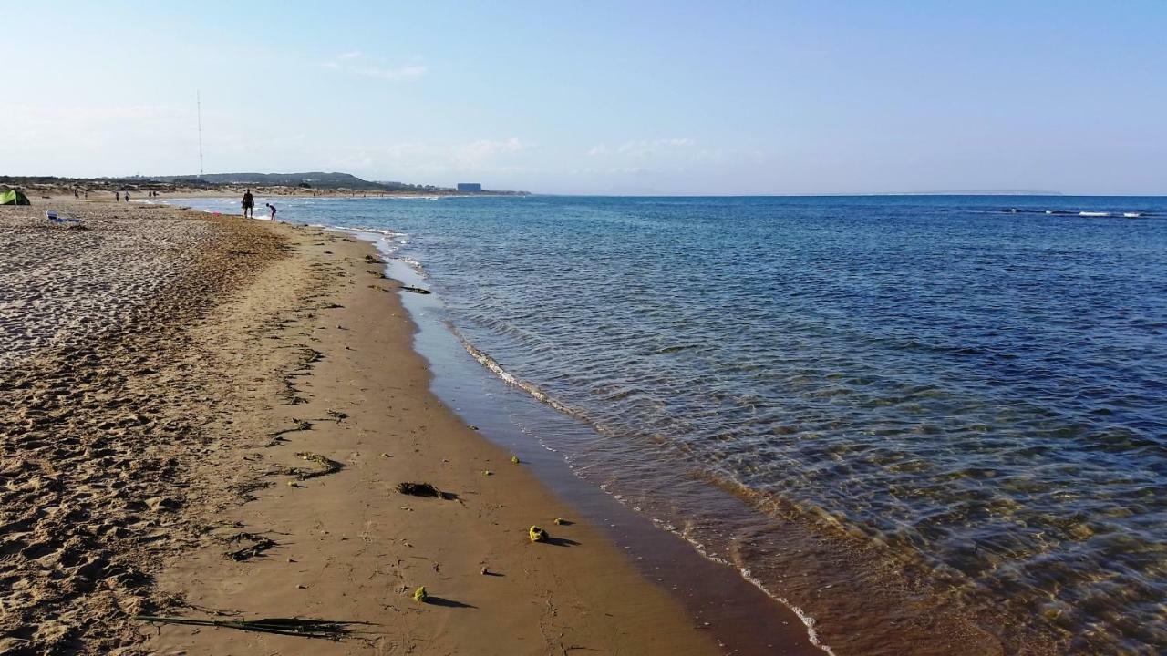 Urbanizacion Puerto - Playa Apartment La Mata (Torrevieja)