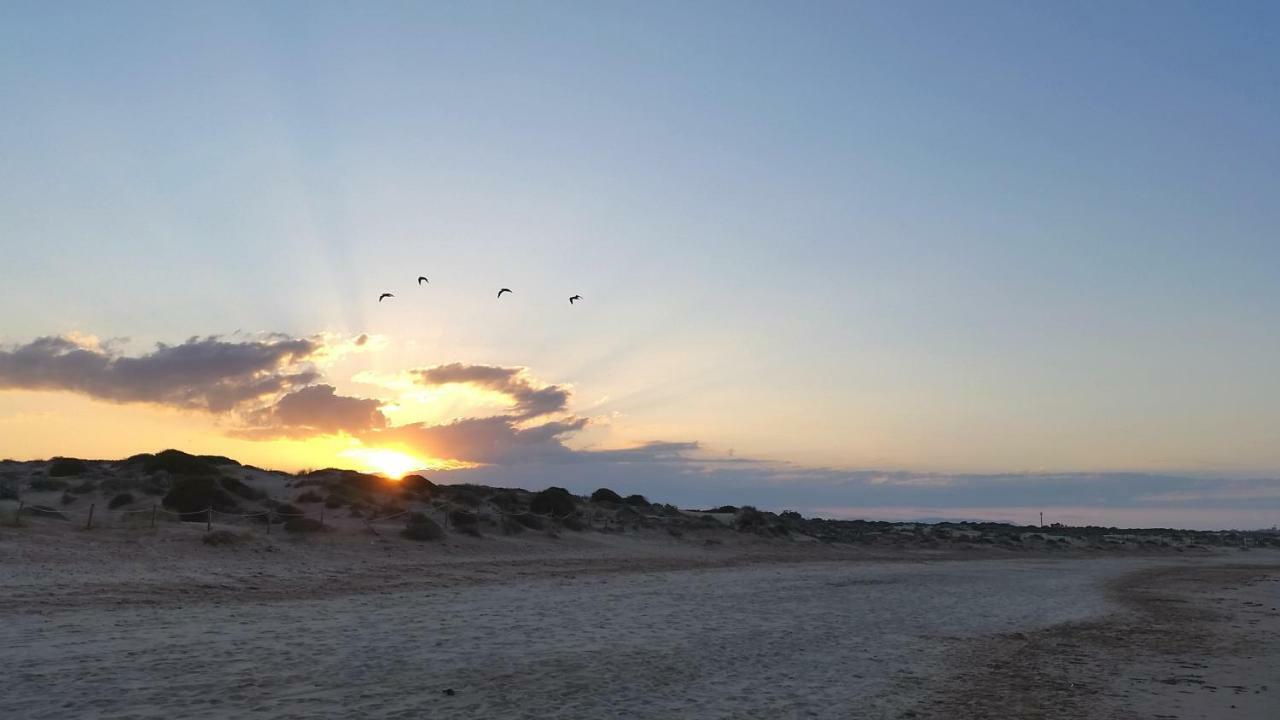 Urbanizacion Puerto - Playa La Mata (Torrevieja)